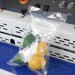 Seladora-Automatica-Continua-a-Vacuo---FRM980ZQP-Produto