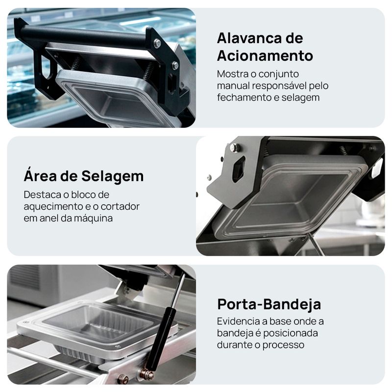 Segunda