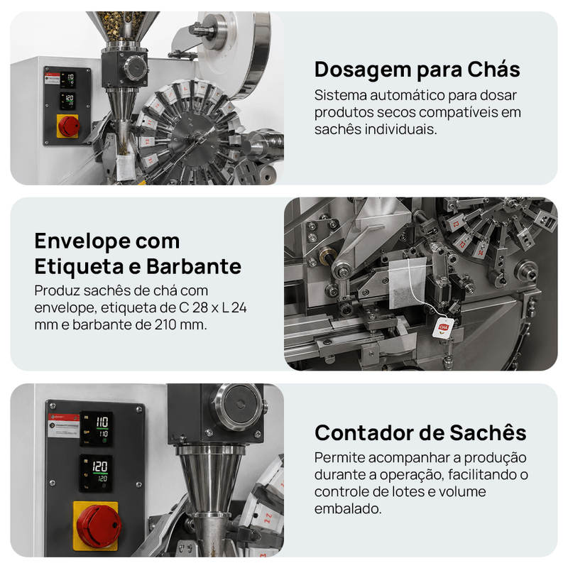 Segunda