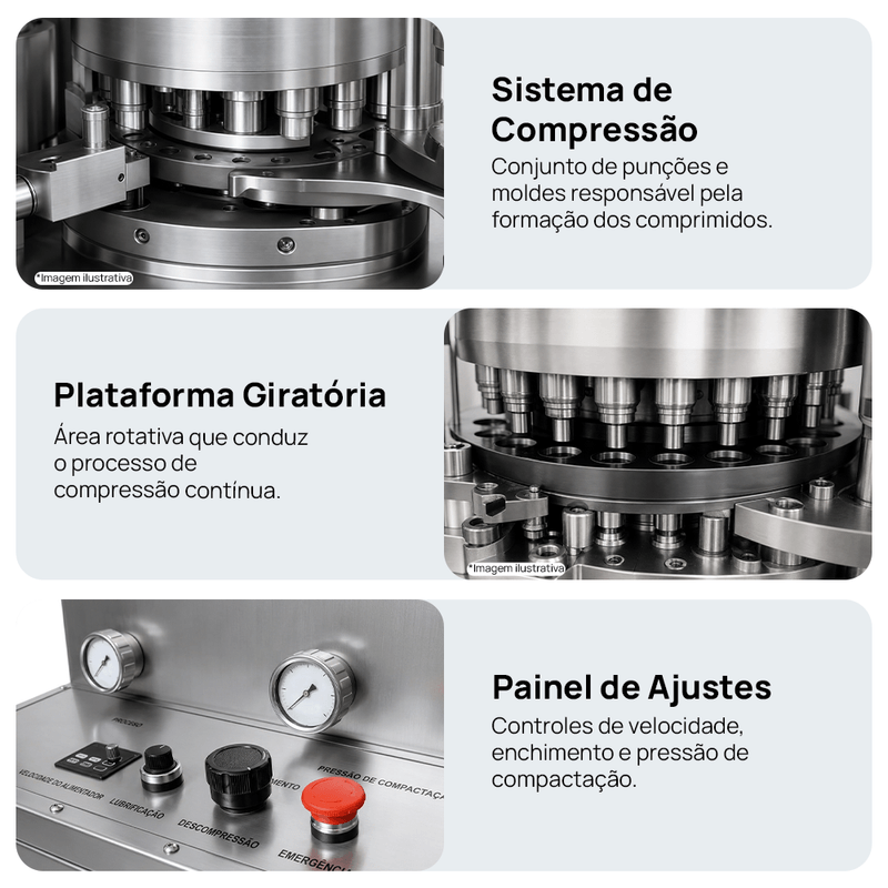 Segunda
