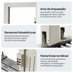 Segunda