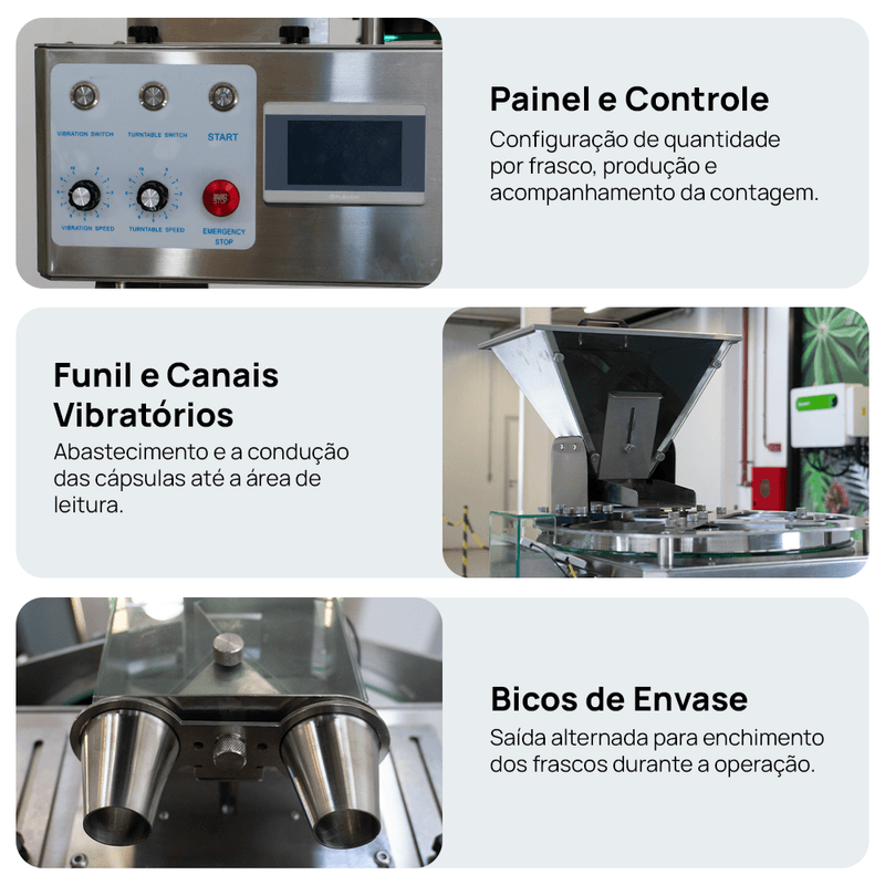 Segunda