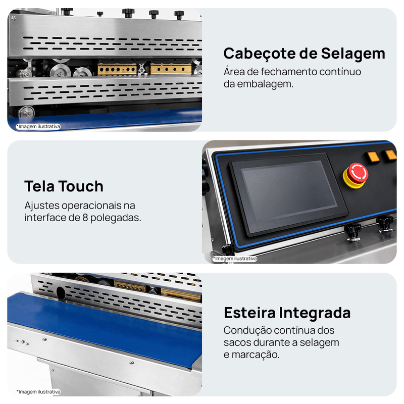 Segunda