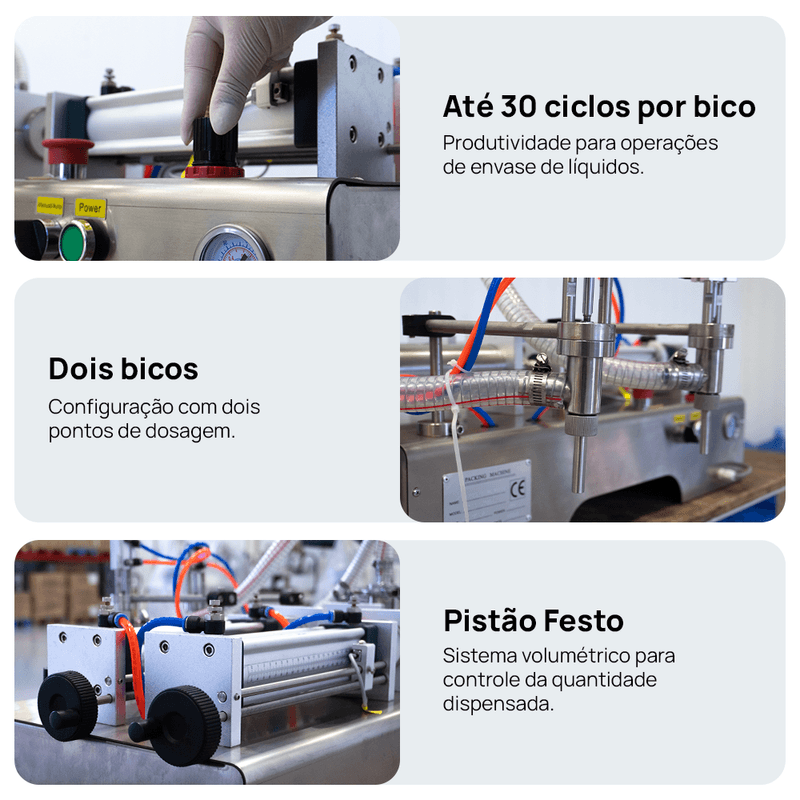 Segunda