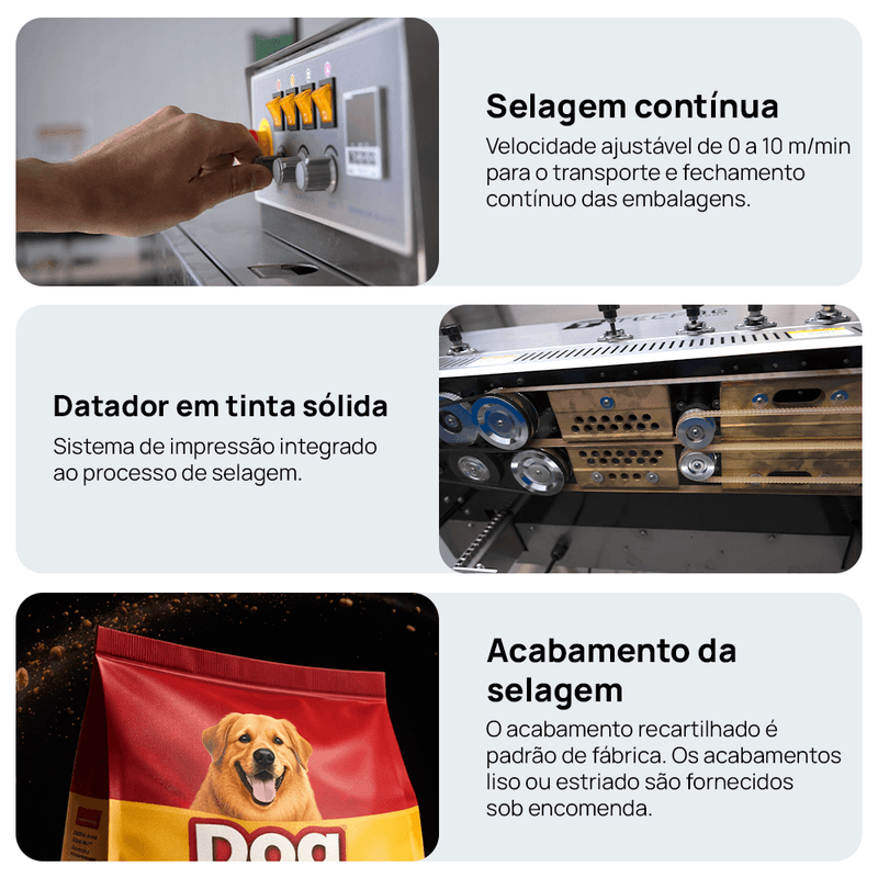 Segunda